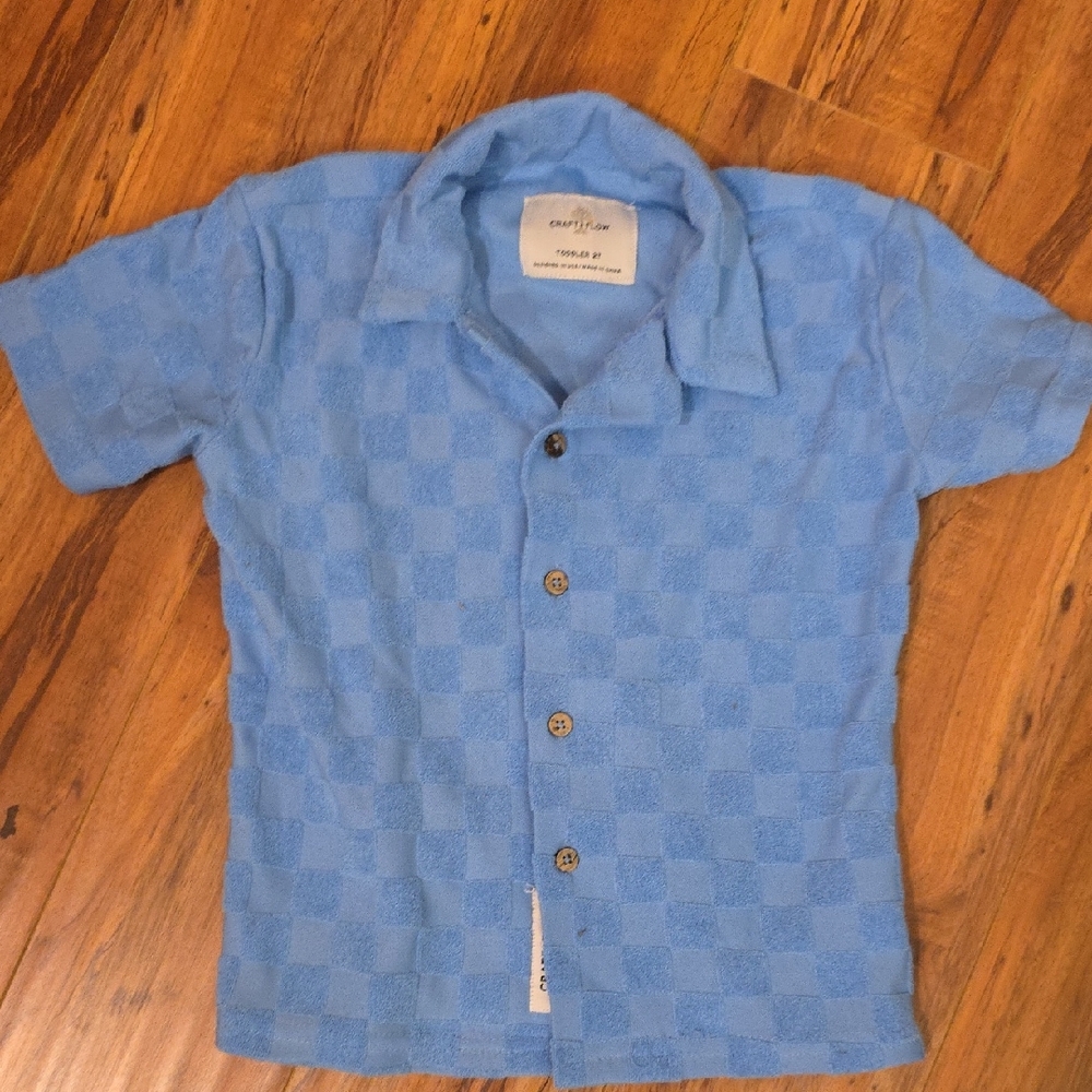 Craft Kids Light Blue Checkered Button-Down Shirt